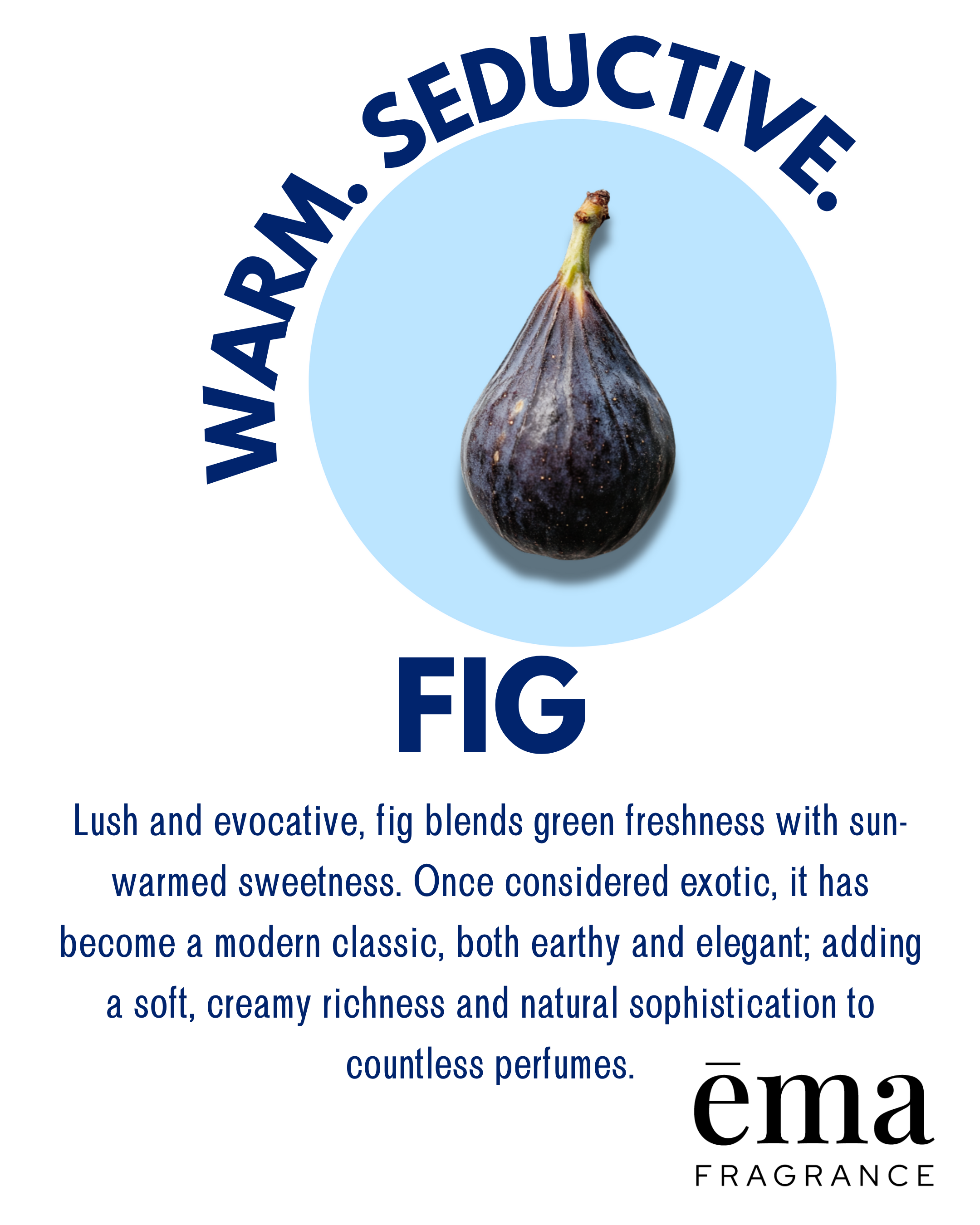 Fig - Solid Fragrance Pod