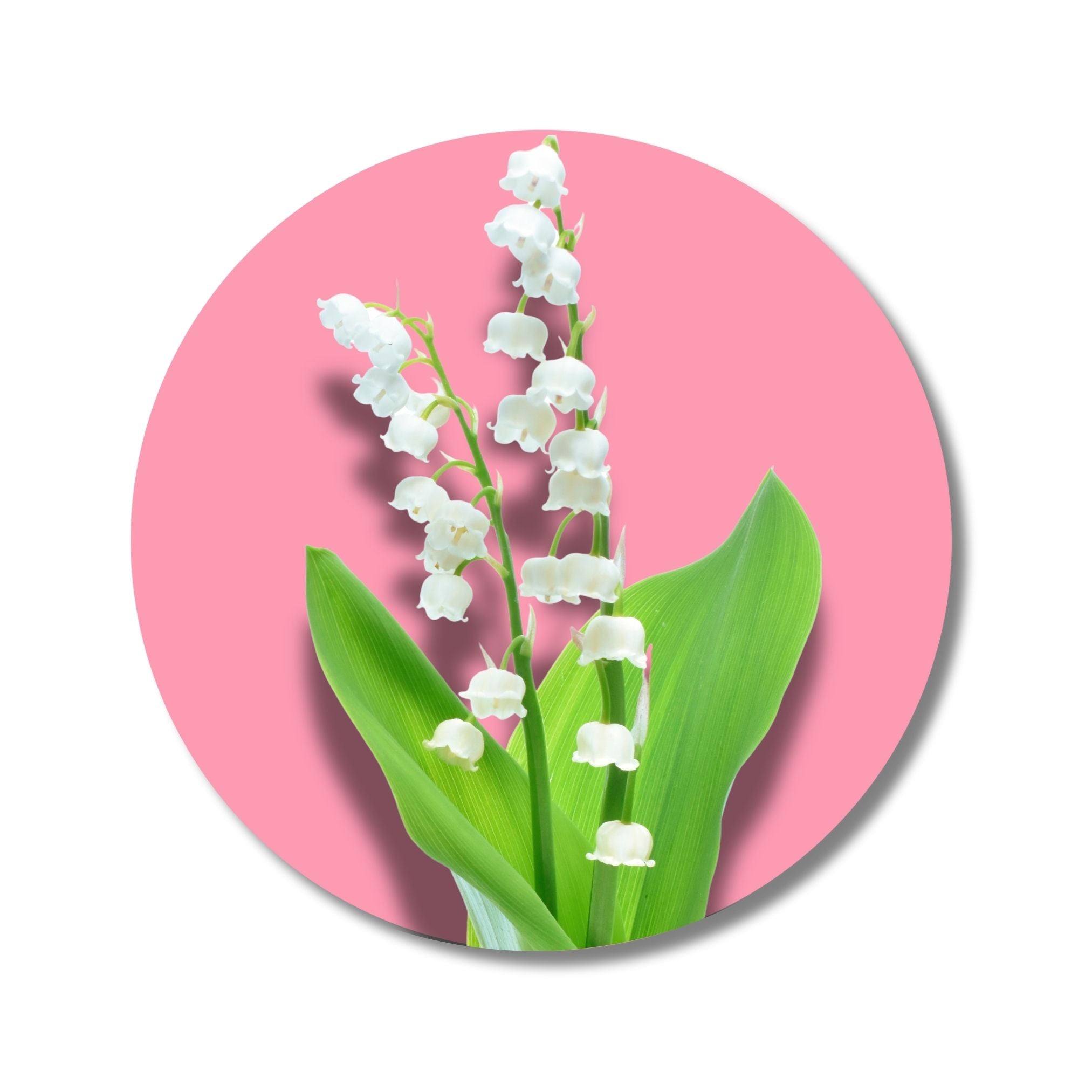 Lily of the Valley - Solid Fragrance Pod