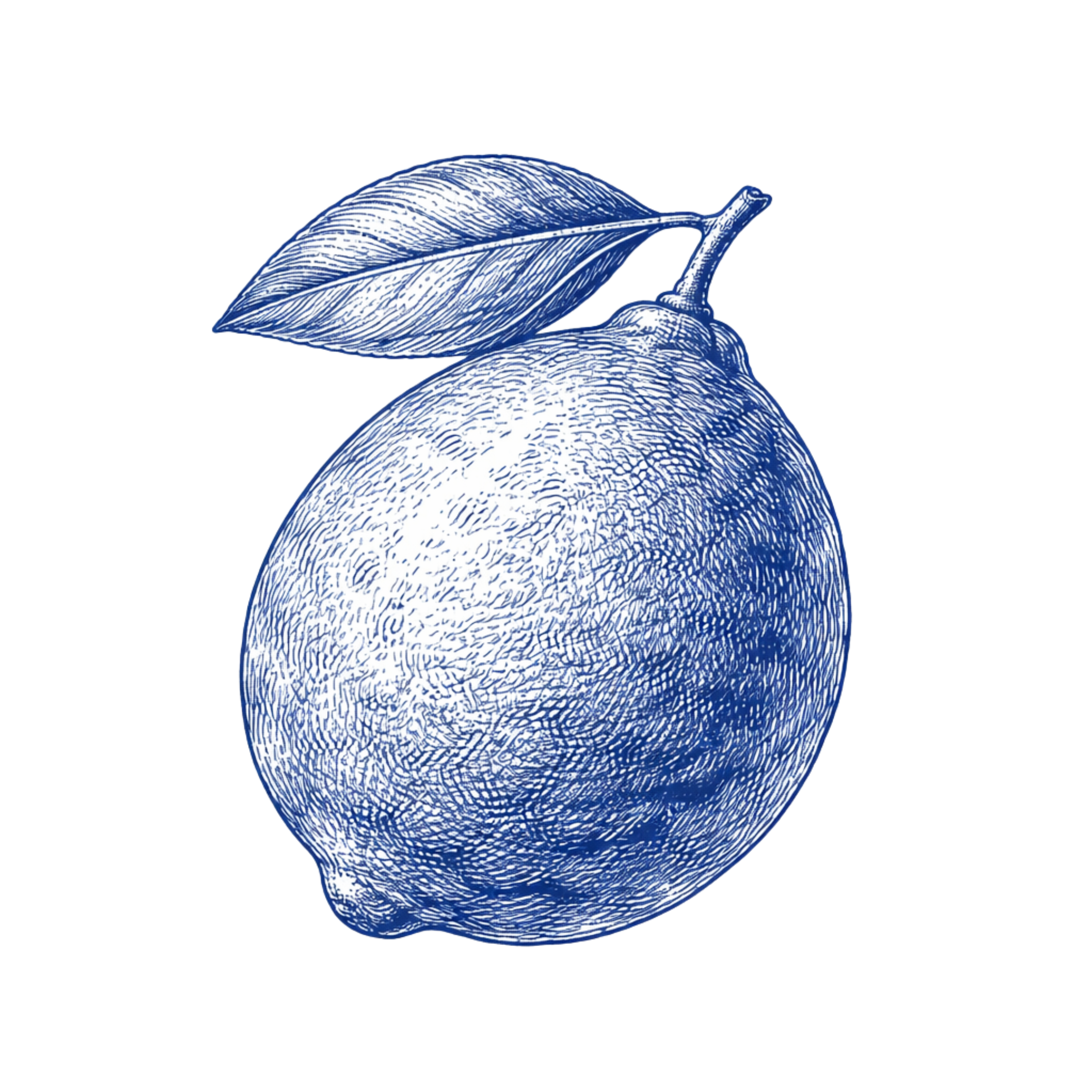 Lime – Bright Zesty Citrus Solid Perfume Pod