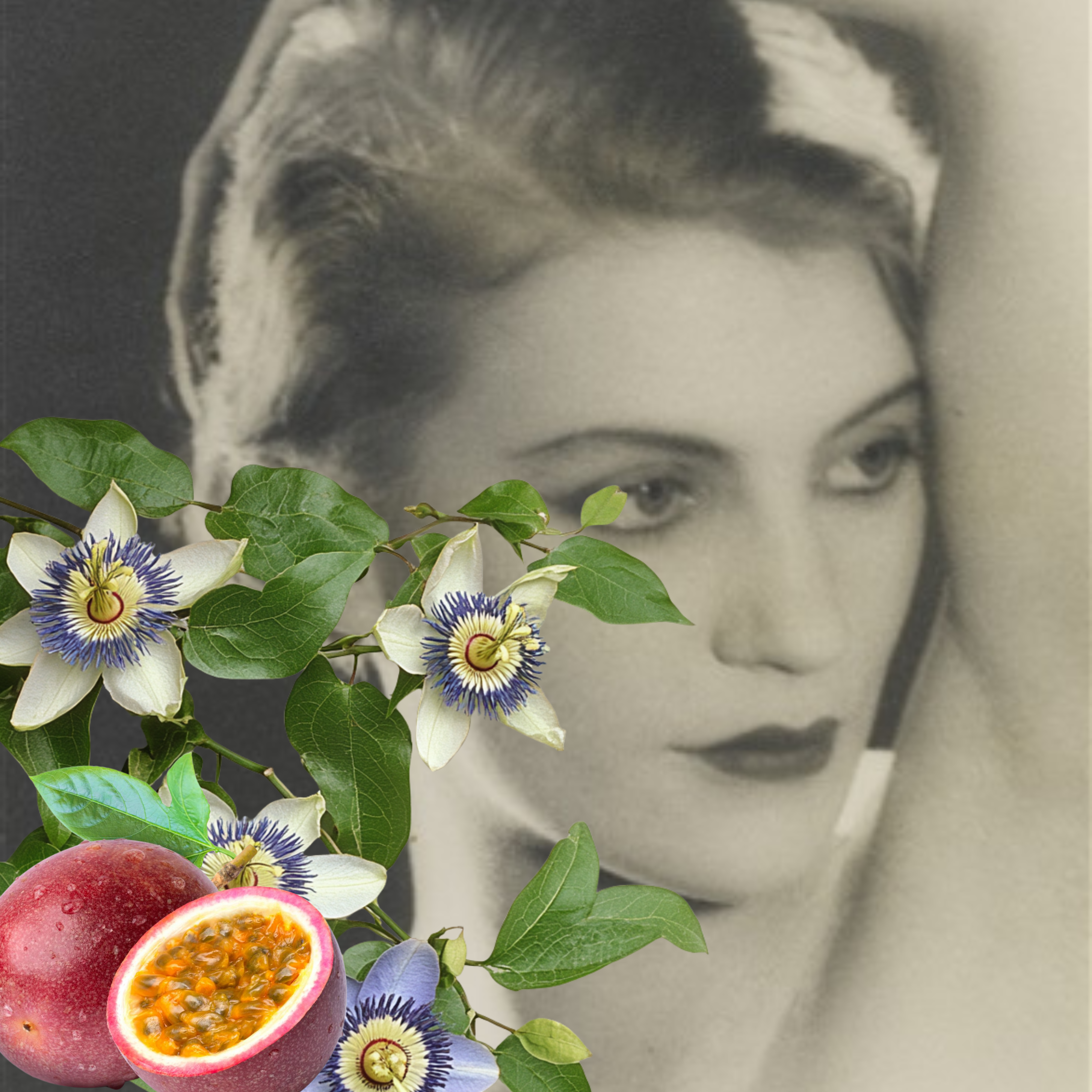 Passion Fruit · Bright Tropical Fruit Solid Perfume Pod