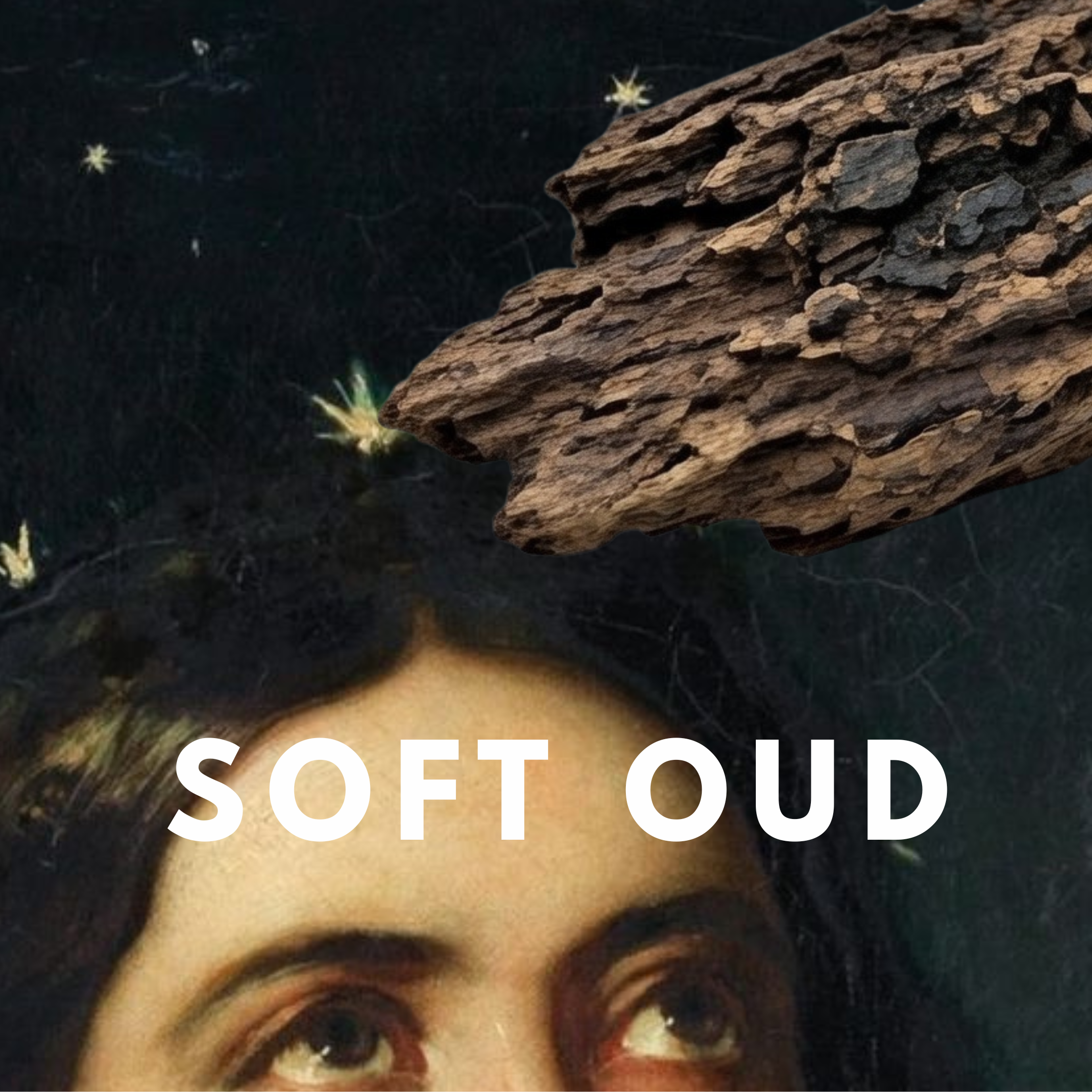 Soft Oud – Smooth Warm Oud Solid Perfume Pod