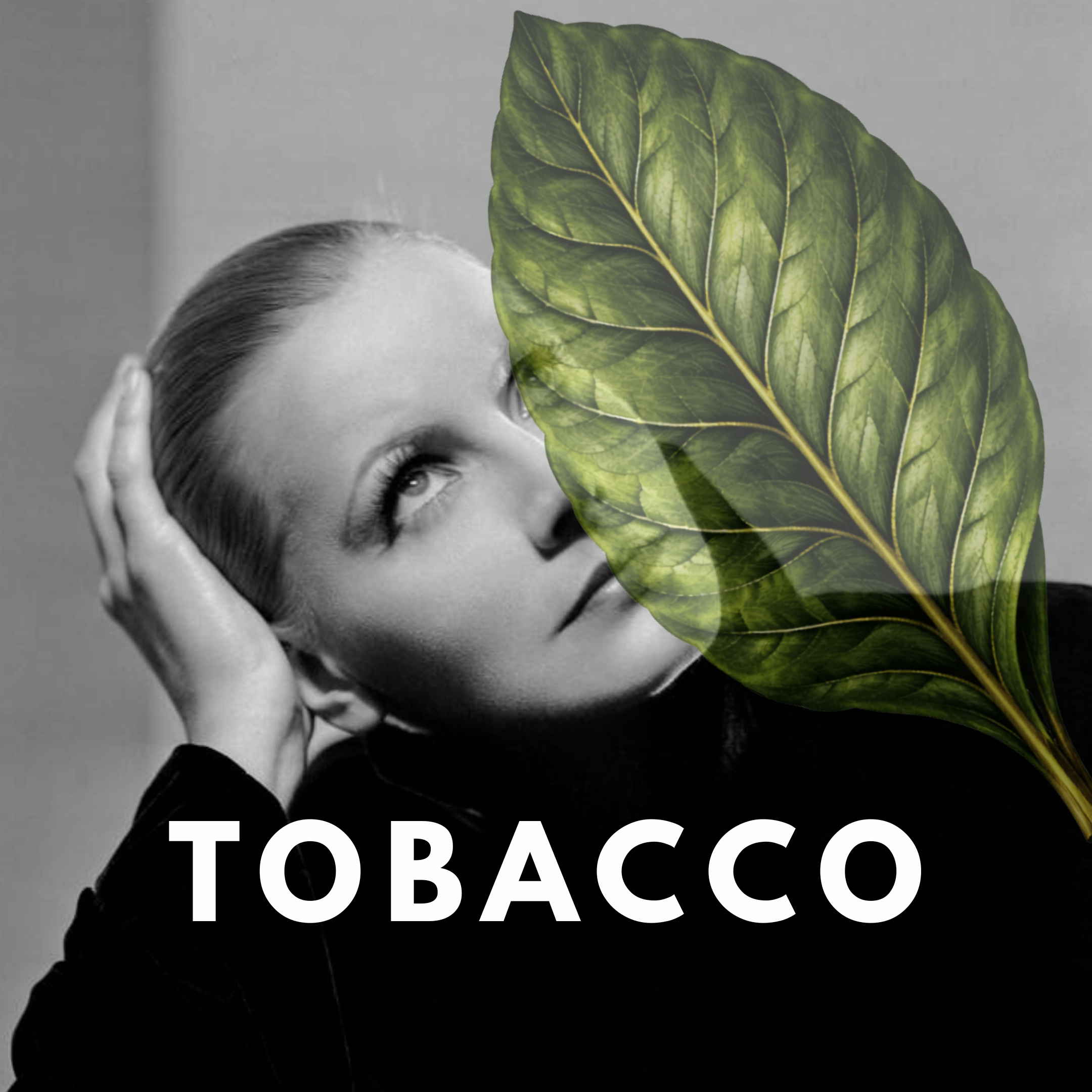 Tobacco – Warm Smoky Sweet Solid Perfume Pod