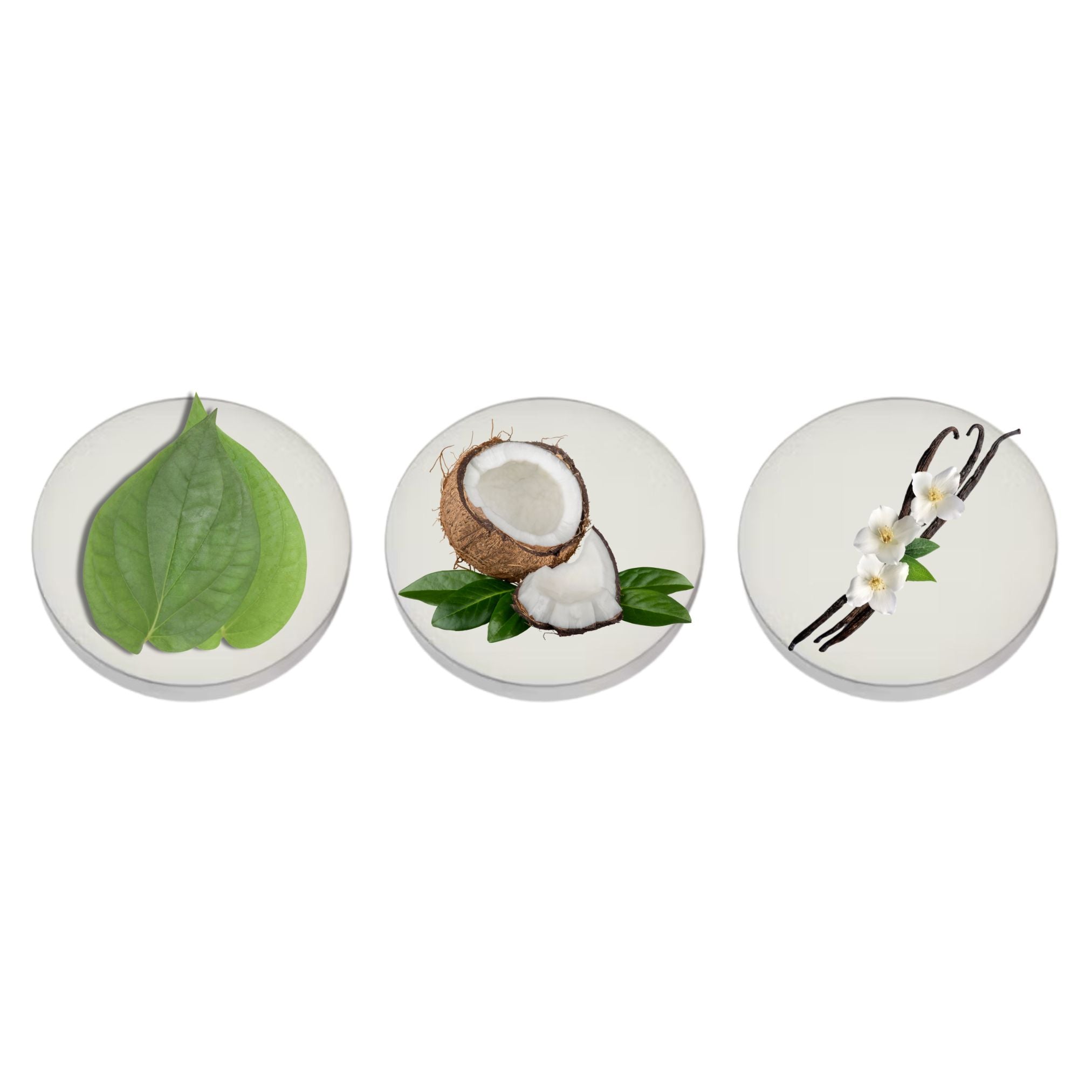Tobacco Crème Fragrance Trio - Tobacco, Coconut, and Vanilla