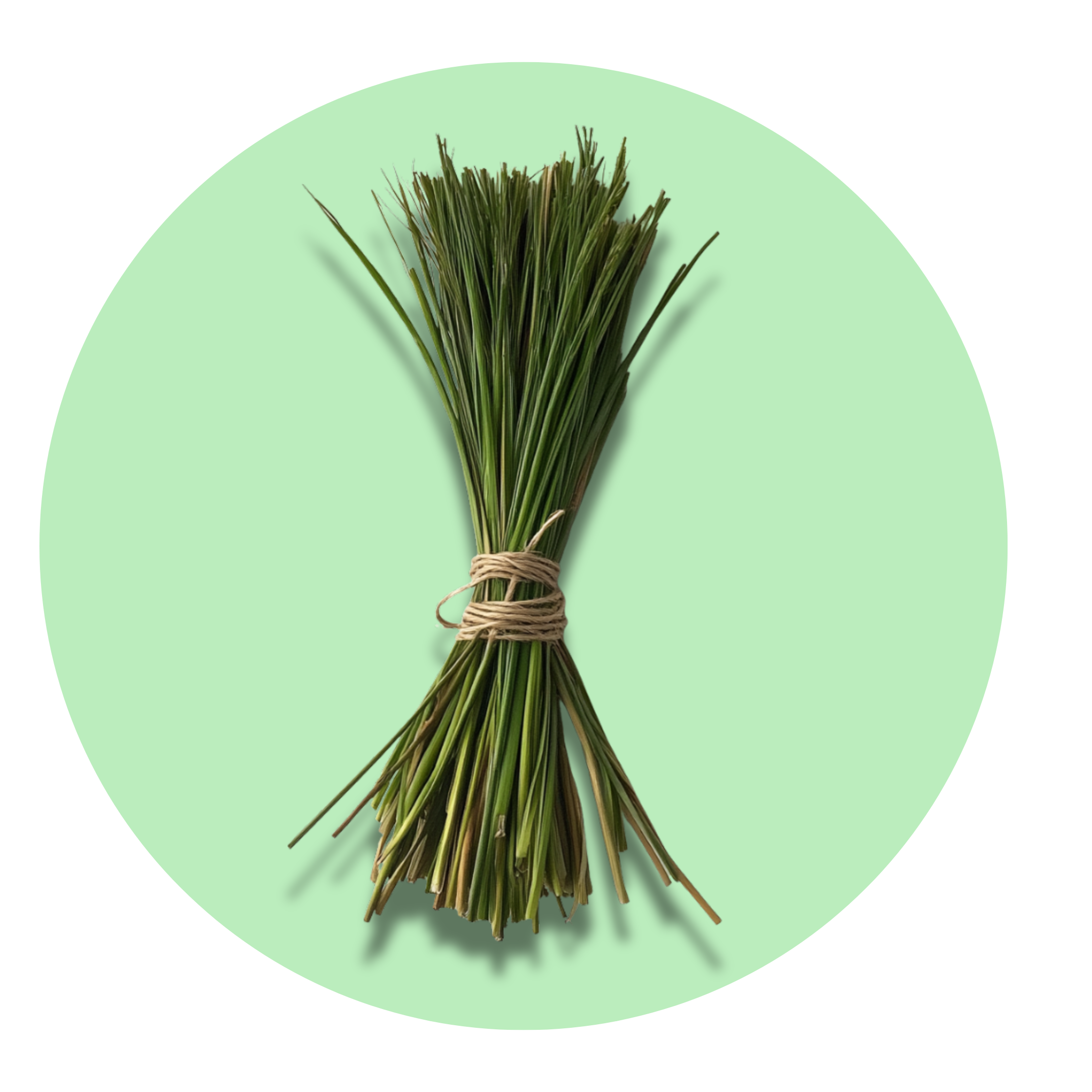 Vetiver - Solid Fragrance Pod