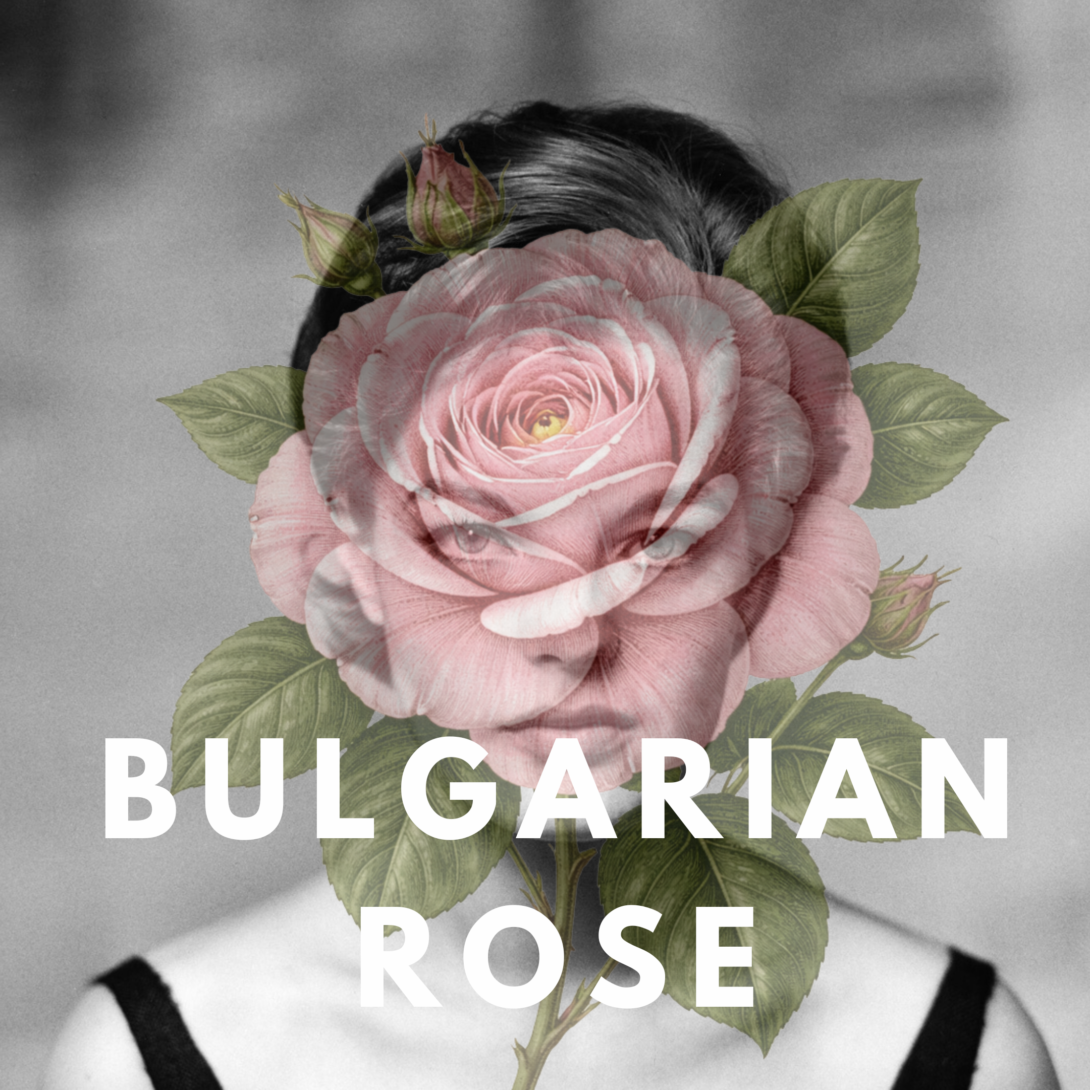 Bulgarian Rose – Deep Sexy Floral Solid Perfume Pod