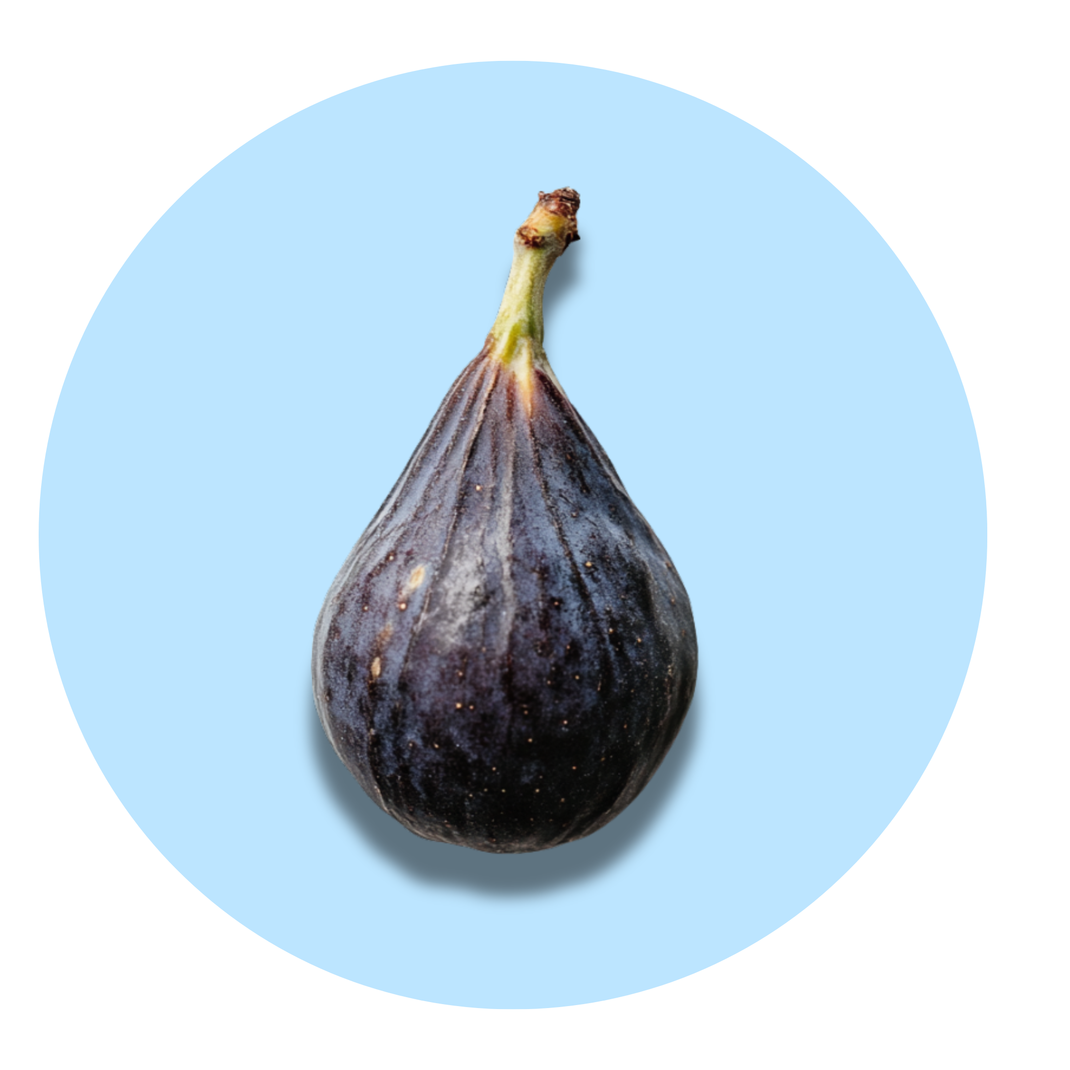 Fig - Solid Fragrance Pod