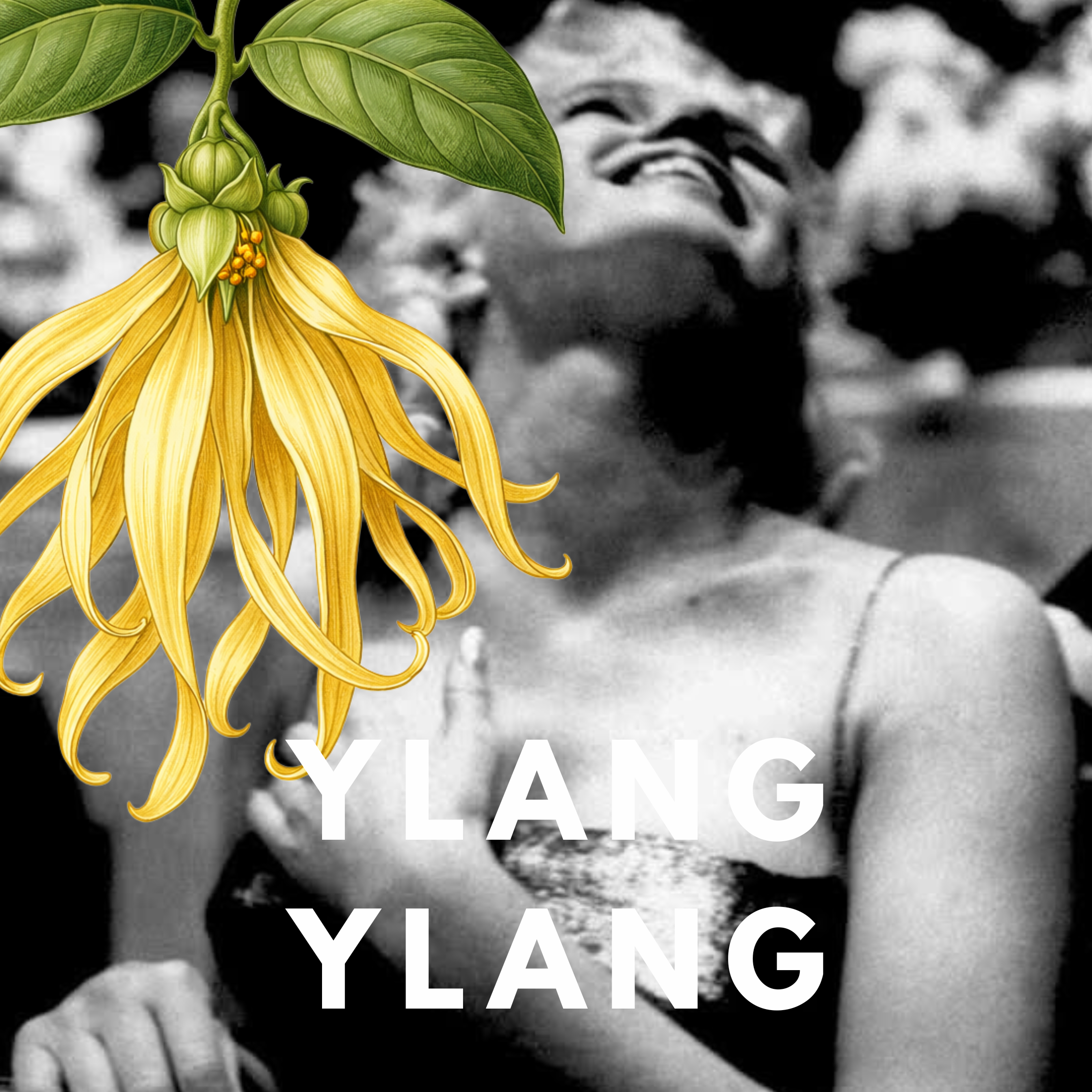 Ylang Ylang – Creamy Exotic Floral Solid Perfume Pod