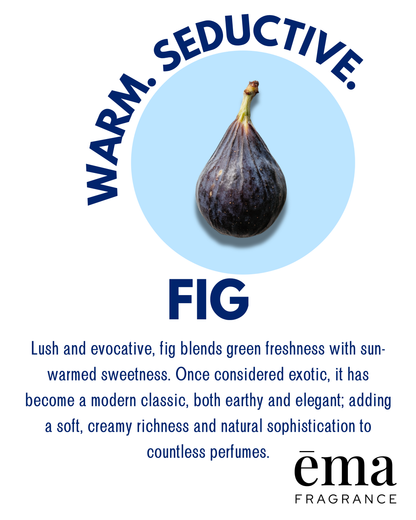Fig - Solid Fragrance Pod