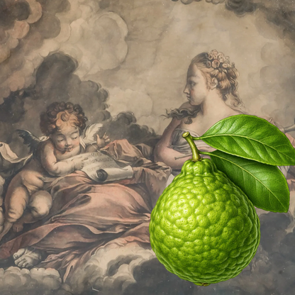 Bergamot – Bright Fresh Citrus Solid Perfume Pod