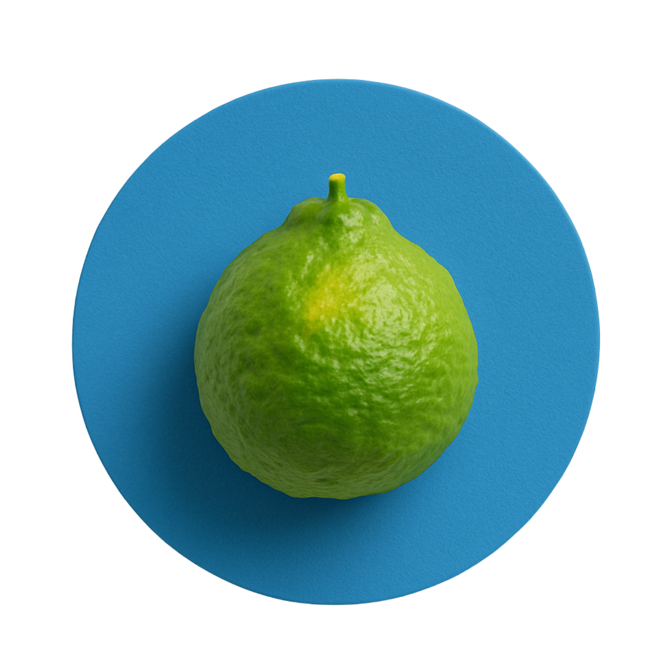 Bergamot - Solid Fragrance Pod