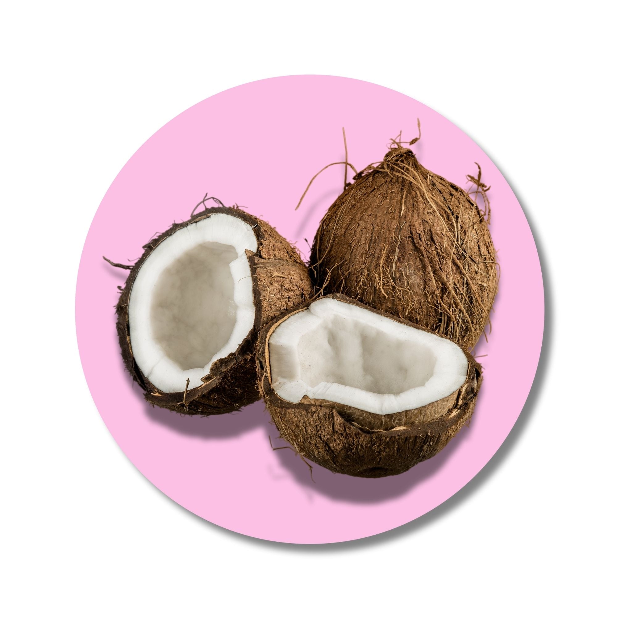 Coconut - Solid Fragrance Pod