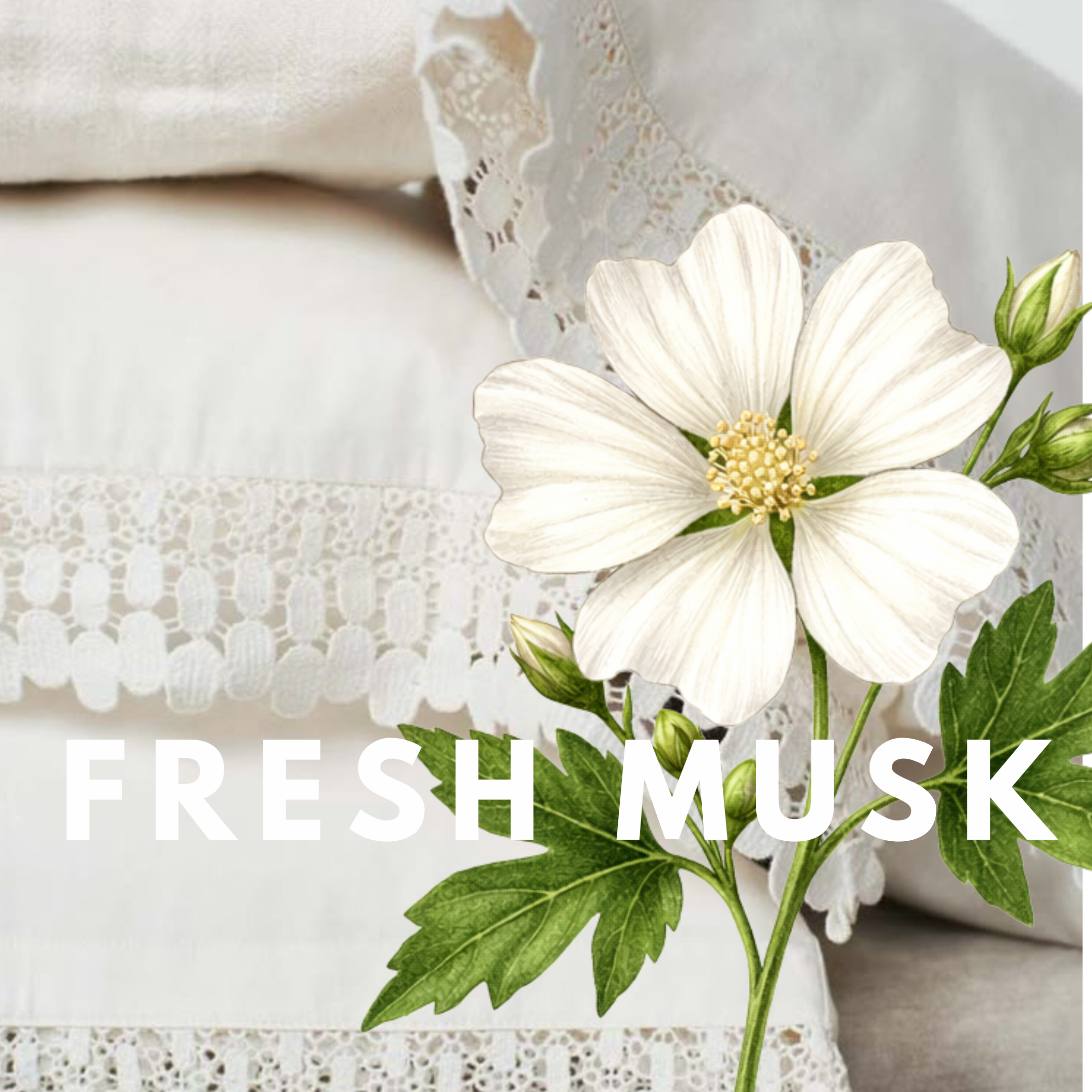 Fresh Musk – Soft Clean Skin Solid Perfume Pod