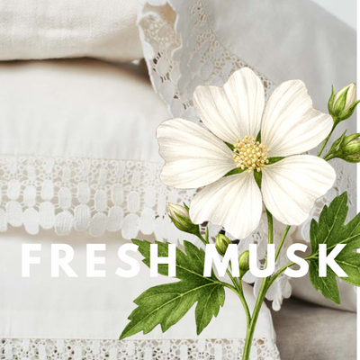 Fresh Musk · Soft Clean Skin Solid Perfume Pod