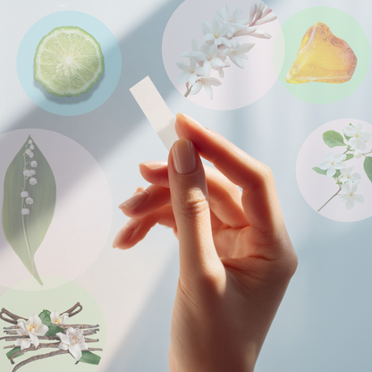 Fragrance Tester Sticks