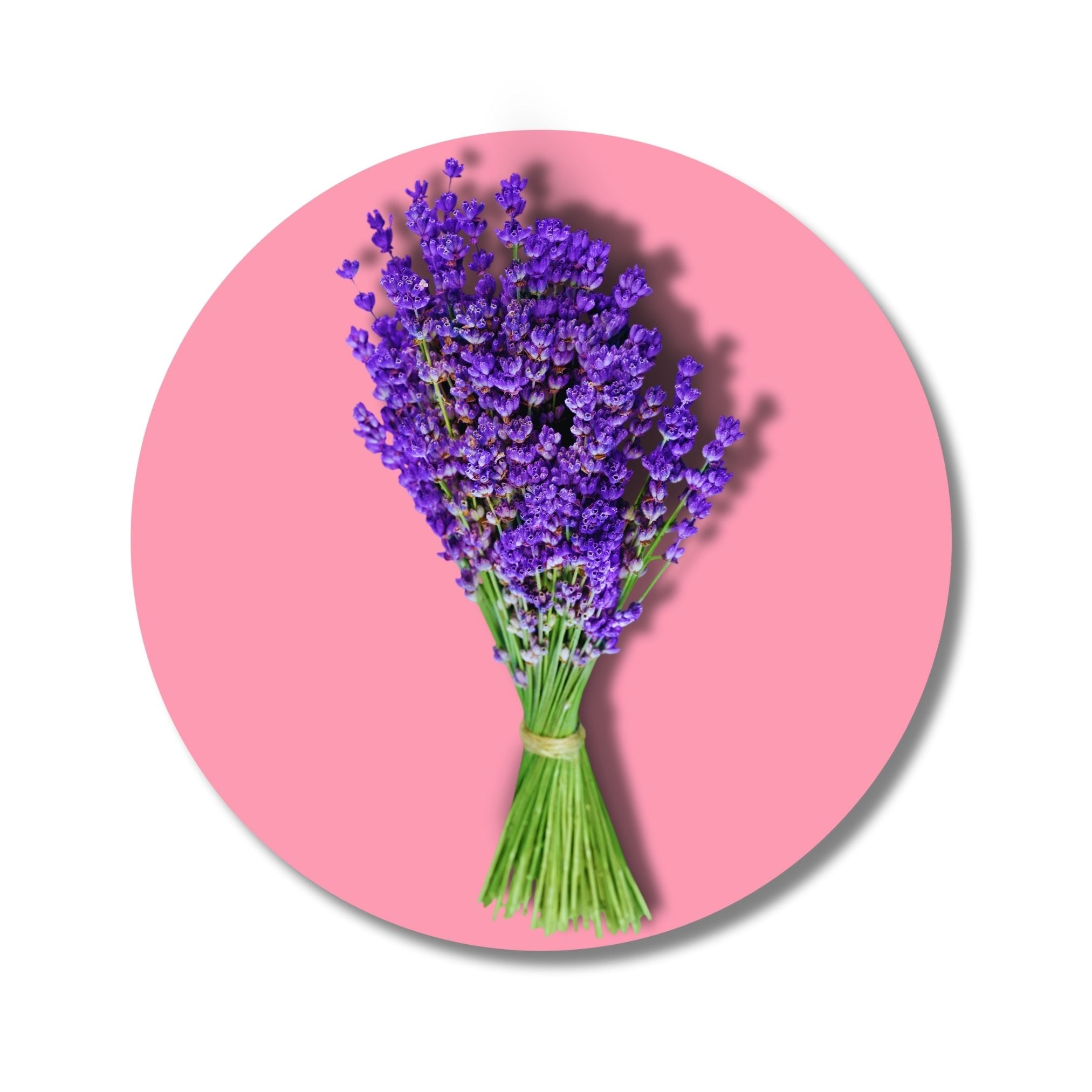 Wild Lavender - Solid Fragrance Pod