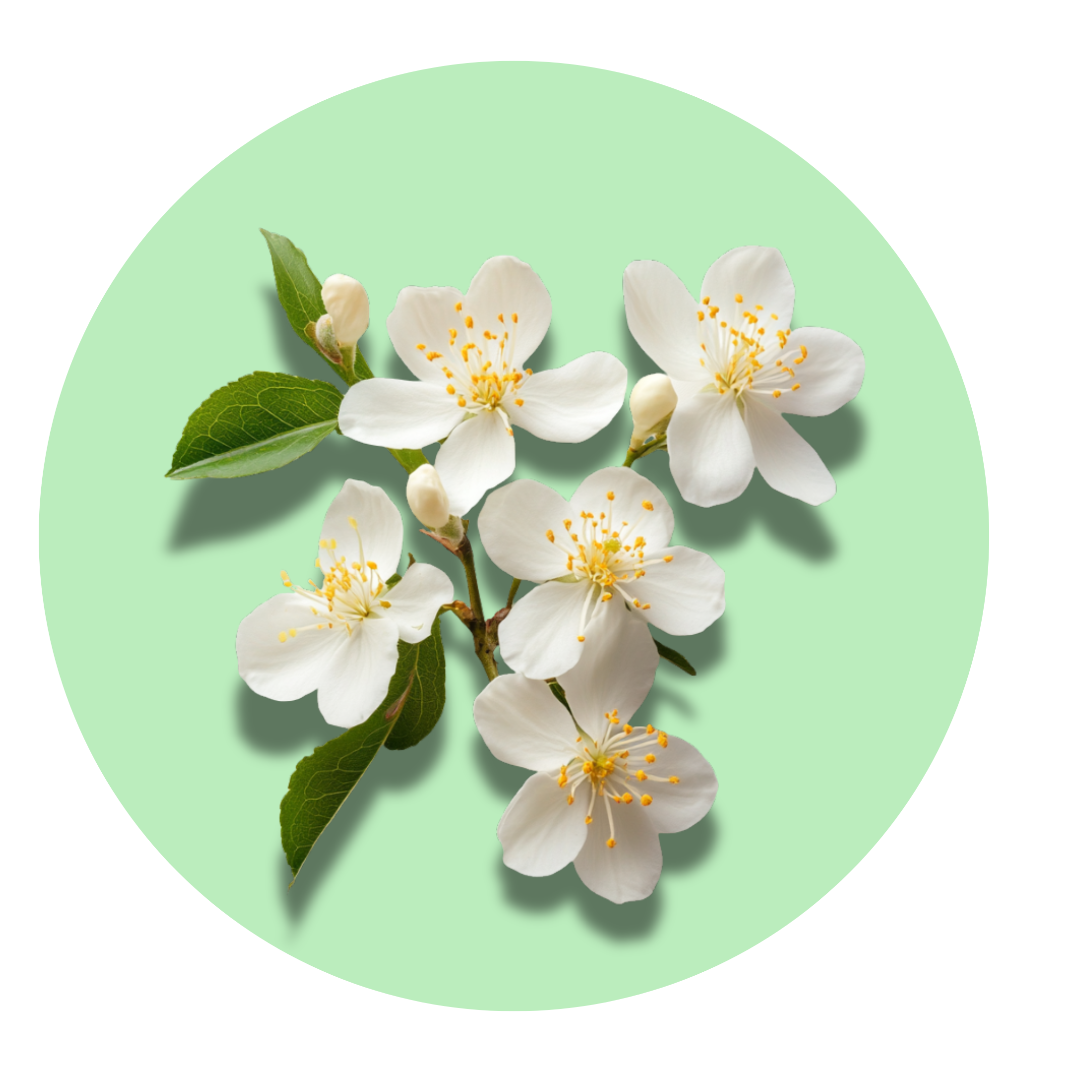 Fresh Musk - Solid Fragrance Pod