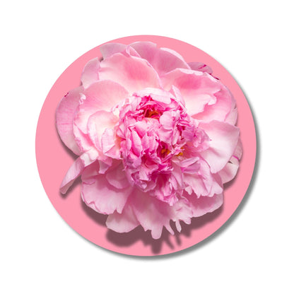 Peony - Solid Fragrance Pod