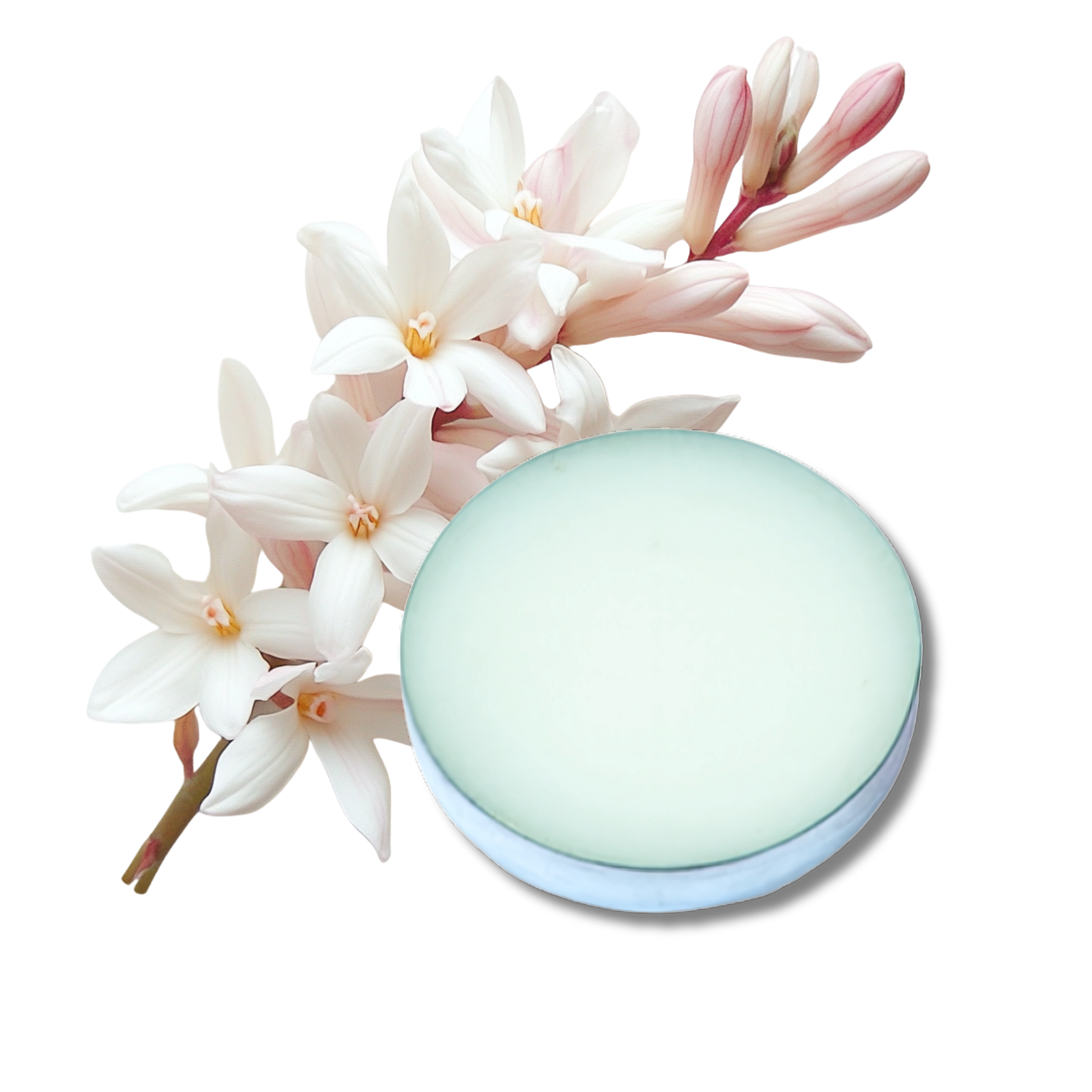 Tuberose - Solid Fragrance Pod