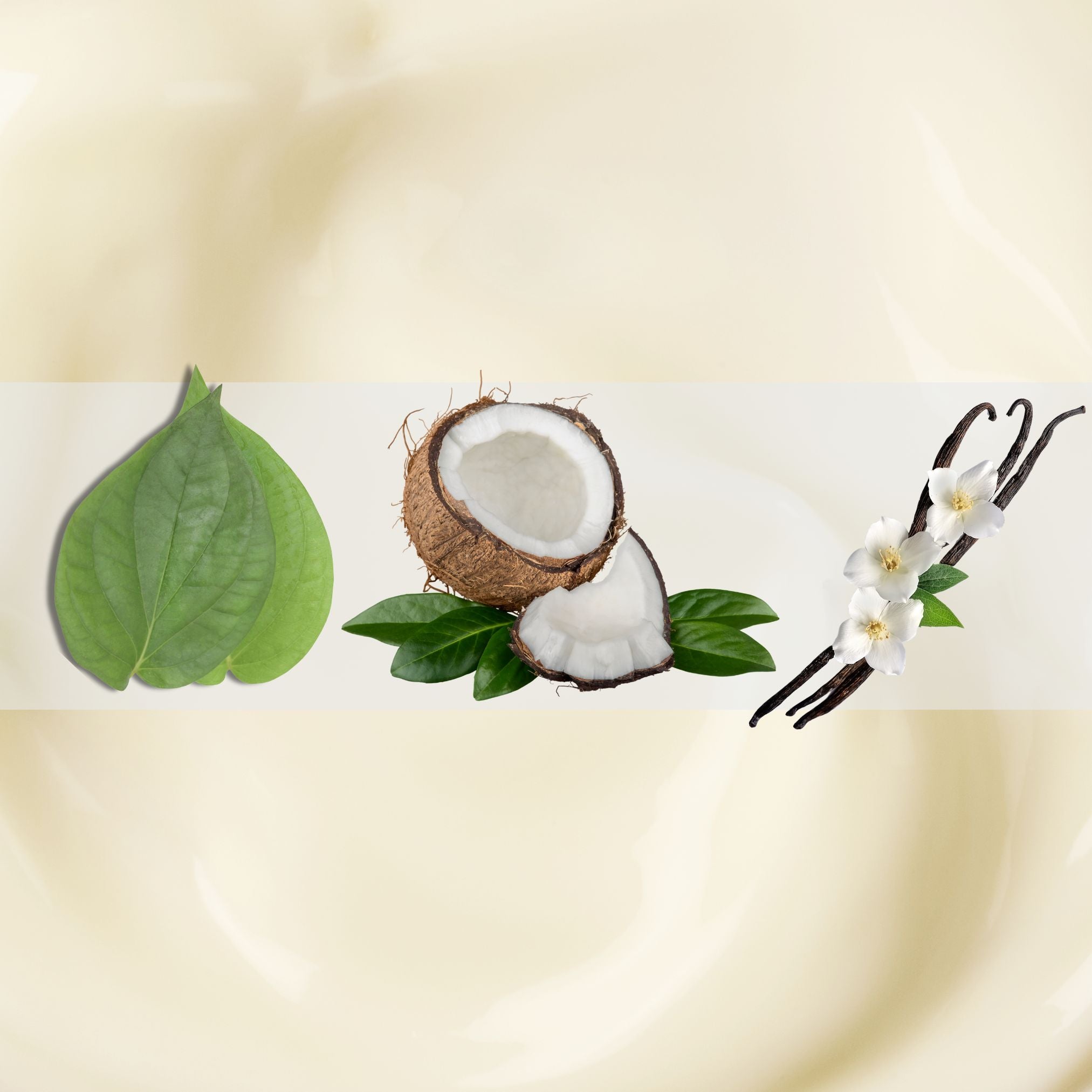 Tobacco Crème Fragrance Trio -  Tobacco, Coconut, and Vanilla