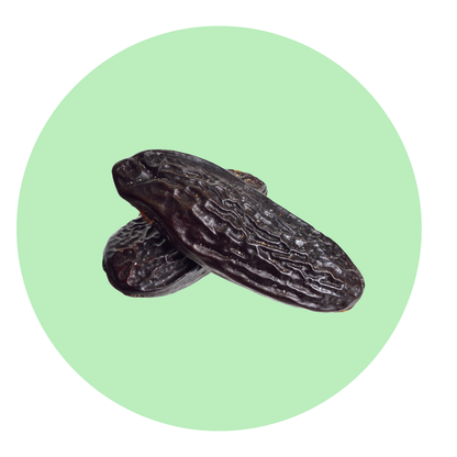Tonka Bean - Solid Fragrance Pod