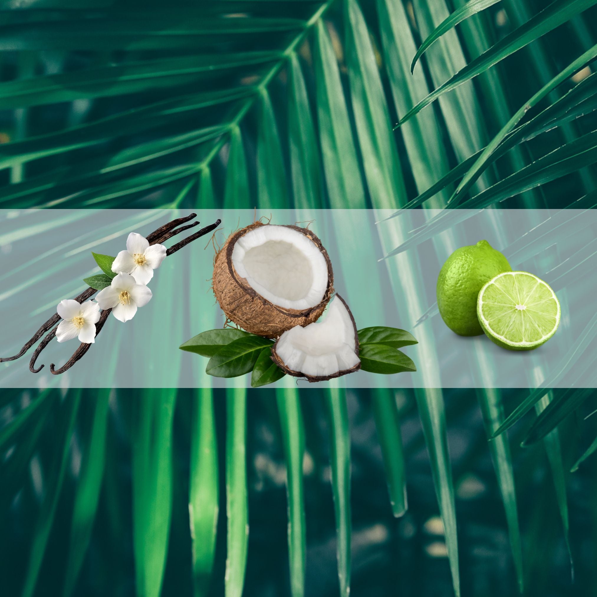 Tropical Oasis Fragrance Trio - Vanilla, Coconut, and Lime