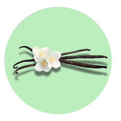 Vanilla - Solid Fragrance Pod