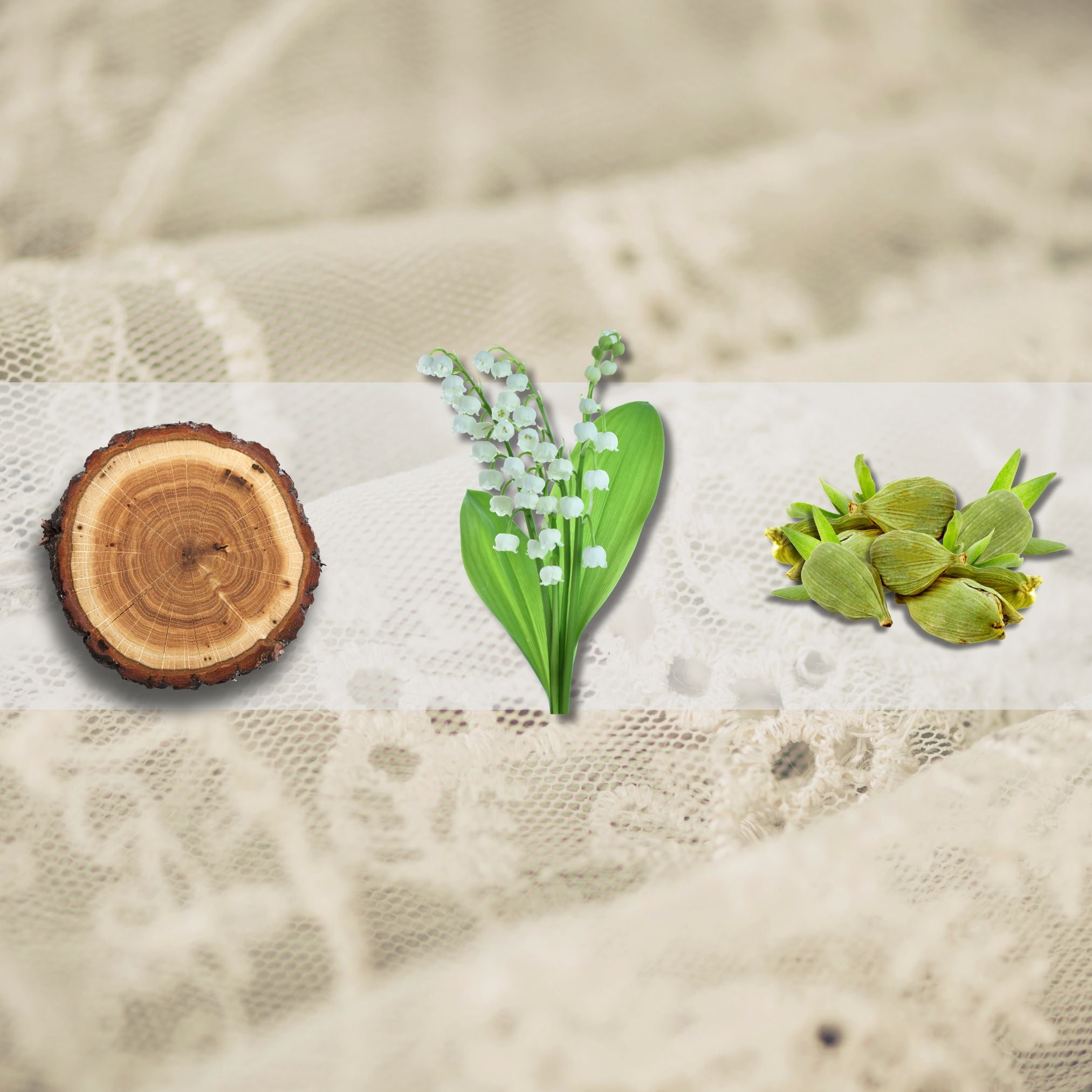 Veiled Spice Fragrance Trio - Cedarwood, Lily of the Valley, and Cardamom