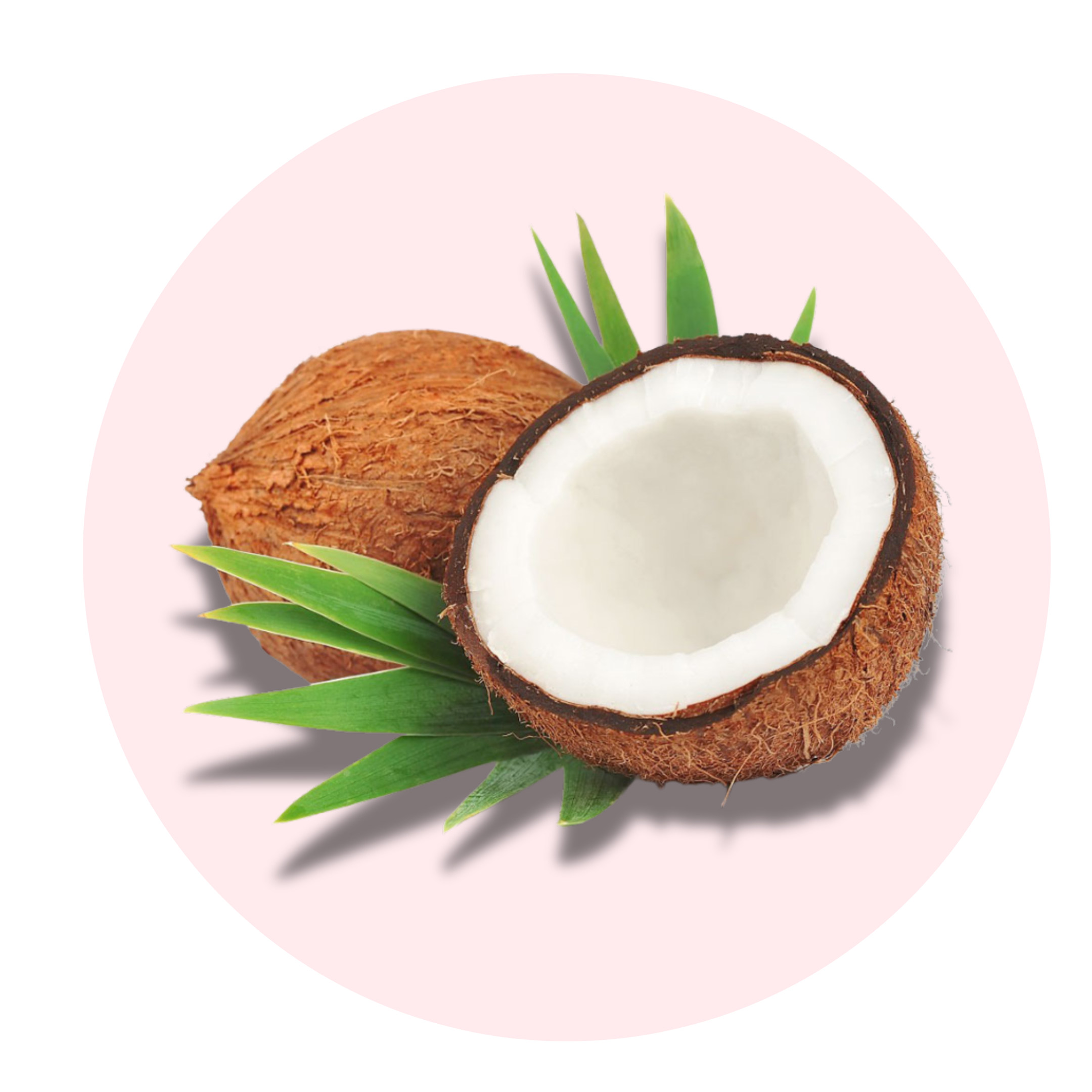 Coconut - Solid Fragrance Pod