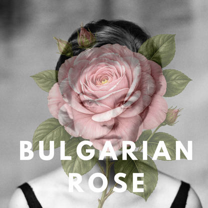 Bulgarian Rose – Deep Sexy Floral Solid Perfume Pod
