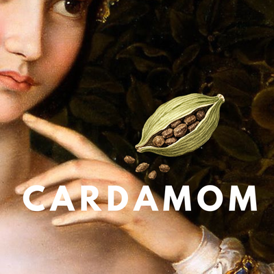 Cardamom · Fresh Aromatic Spice Solid Perfume Pod