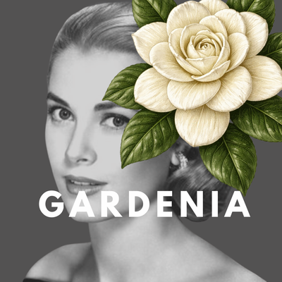 Gardenia ·  Creamy White Floral Solid Perfume Pod